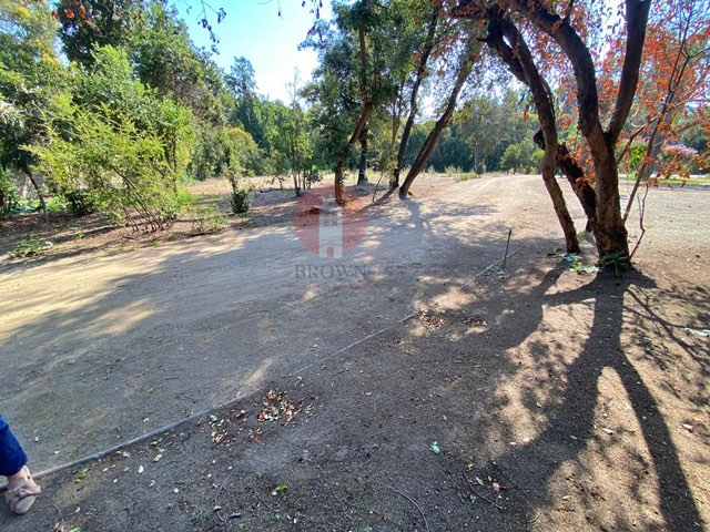 Terreno San Damián